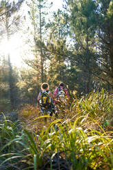 Junges Paar mit Rucksäcken wandert im hohen Gras in sonnigen Wäldern - CAIF30035