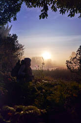 Silhouette eines liebevollen jungen Paares, das einen malerischen Sonnenuntergang in der Natur genießt - CAIF30037