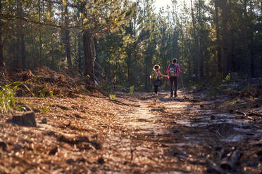 Young couple with backpacks hiking in sunny woods - CAIF30049