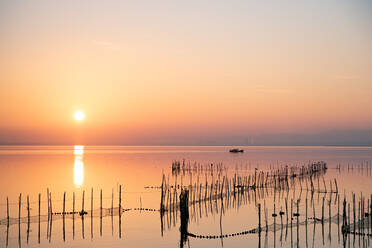 Boote und Fischernetze im Sonnenuntergang der Albufera von Valencia gegen das Licht - CAVF90129