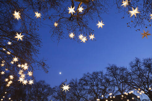 Tree branches decorated with star shaped Christmas lights glowing outdoors at night - GWF06775