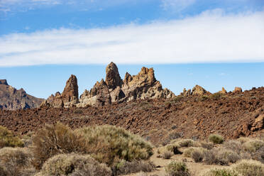 Spanien, Santa Cruz de Tenerife, Büsche vor der Felsformation Roques de Garcia im Teide-Nationalpark - WWF05494