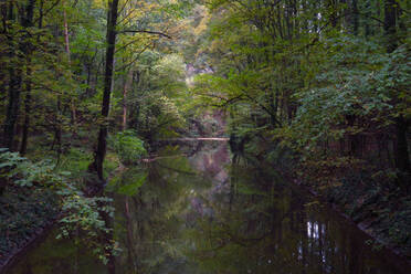 Die Wesenitz fließt durch einen üppigen Herbstwald im Liebethaler Grund - JTF01691