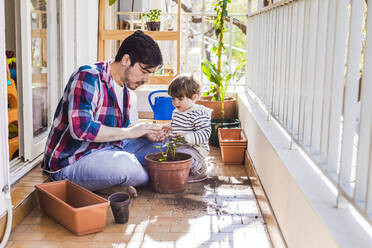 Man and boy planting strawberry plant in pot while sitting at balcony - FLMF00317