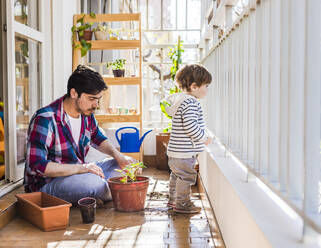 Father planting plant in pot by boy looking out while standing by railing at balcony - FLMF00321
