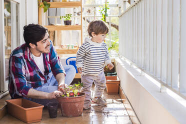 Smiling father looking to boy while planting plant in pot at balcony - FLMF00322