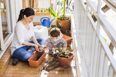 Mother and son planting seed in pot while sitting at balcony - FLMF00323