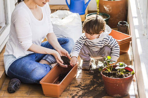 Mutter und Sohn pflanzen gemeinsam Samen in einen Topf, während sie auf dem Balkon sitzen, lizenzfreies Stockfoto
