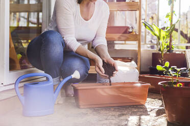 Mid adult woman putting mud in pot while crouching at balcony - FLMF00328