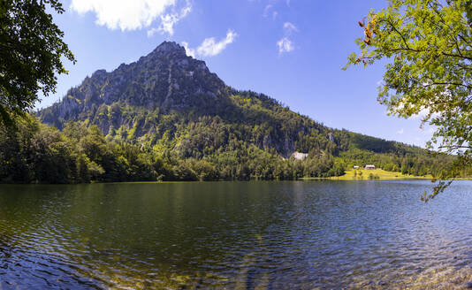 Laudachsee im Sommer mit dem Grunberg im Hintergrund - WWF05510