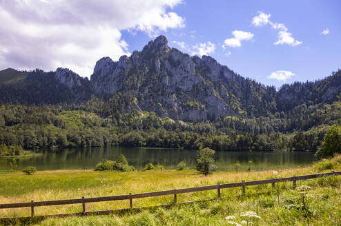 Laudachsee im Sommer mit dem Grunberg im Hintergrund - WWF05511