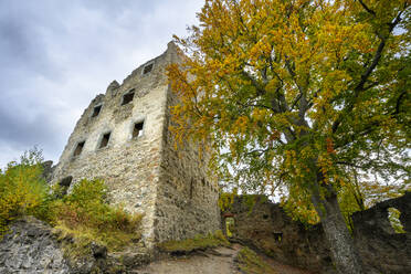 Deutschland, Baden-Württemberg, Bodman-Ludwigshafen, Ruinen der Burg Altbodman im Herbst - ELF02293