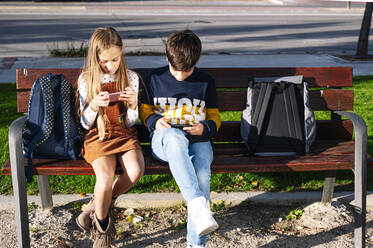 Geschwisterkind, das sein Smartphone benutzt, während es auf einer Bank in einem öffentlichen Park bei Sonnenschein sitzt - JCMF01558