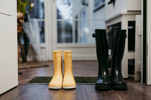 Jump boot on floor at home entrance - EBBF01184