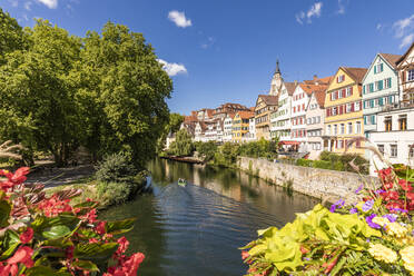 Germany, Baden-Wurttemberg, Tubingen, Neckar river canal with row of townhouses in background - WDF06358