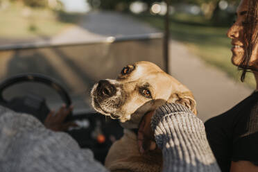 Man and woman sitting with dog while driving golf cart on road - SMSF00424