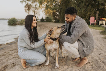 Smiling couple playing with dog while crouching by lake sunset - SMSF00465