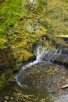 Wasserfall am Malerweg im Elbsandsteingebirge - JTF01716