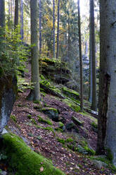 Malerweg im Elbsandsteingebirge - JTF01720