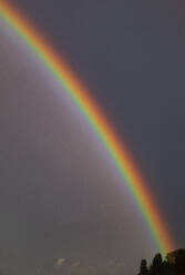 Regenbogen gegen grauen Himmel in der Abenddämmerung - WWF05525