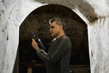 Winemaker looking at wine bottle while standing under archway in cellar - EGAF00964