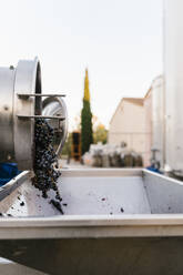 Trauben auf Maschinen in einer Weinkellerei gegen den Himmel - EGAF00976