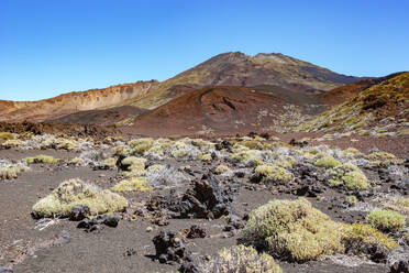 Vulkanische Landschaft der Insel Teneriffa - WWF05559