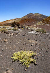 Vulkanische Landschaft der Insel Teneriffa - WWF05560