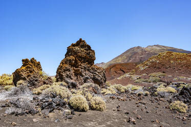 Vulkanische Landschaft der Insel Teneriffa - WWF05561