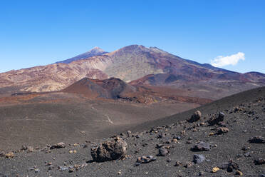 Vulkanische Landschaft der Insel Teneriffa - WWF05566