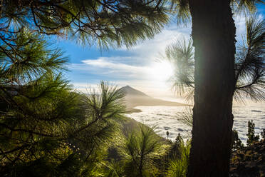 Awe sunrise view over cloudscape and mountain at El Teide National Park, Tenerife, Spain - SIPF02212