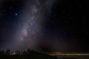 Nachtansicht des Waldes im Teide-Nationalpark, Teneriffa, Spanien - SIPF02219