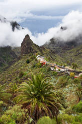 Spanien, Provinz Santa Cruz de Tenerife, Masca, Abgelegenes Dorf im Gebirge Macizo de Teno - WWF05575