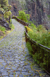 Spanien, Provinz Santa Cruz de Tenerife, Calle Lomo de Masca, Fußweg mit Kopfsteinpflaster im Macizo de Teno-Gebiet - WWF05578