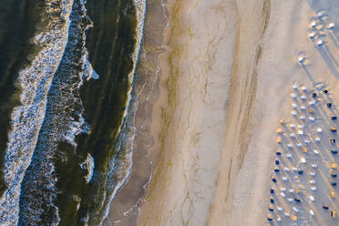 Luftaufnahme von Strandstühlen mit Kapuze am sandigen Küstenstrand - WDF06371