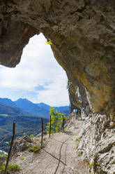 Mountain bikers cycling on mountain path of Ewige Wand at Bad Goisern, Upper Austria, Austria - WWF05609