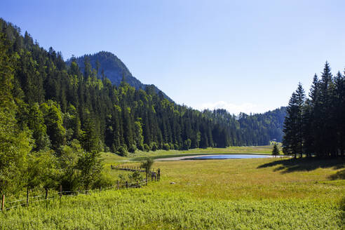 Scenic view of landscape against clear sky, Salzkammergut, Austria - WWF05617