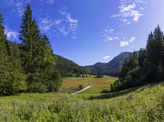 Ruhige Landschaftsszene vor klarem blauen Himmel, Salzkammergut, Österreich - WWF05618