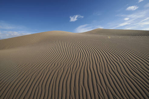 Natürliches Wellenmuster in den Cadiz-Dünen in der Mojave-Wüste, Südkalifornien, USA - BCDF00474