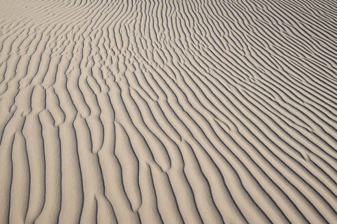 Natürliche Wellenmuster auf den Cadiz-Dünen in der Mojave-Wüste, Südkalifornien, USA - BCDF00483