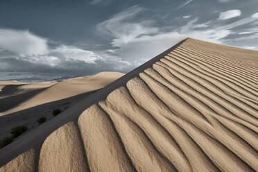 Sunset view of Cadiz Dunes at Mojave Desert, Southern California, USA - BCDF00485