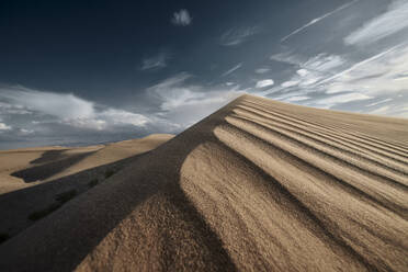 Cadiz Dunes during sunset at Mojave Desert, Southern California, USA - BCDF00486