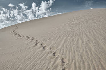 Footprint on sand of Cadiz Dunes at Mojave Desert, Southern California, USA - BCDF00488