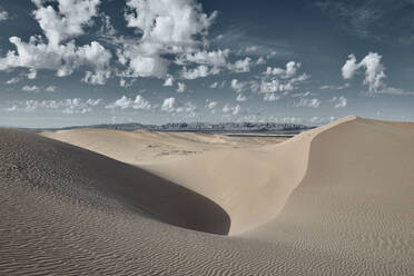 Landscape of Cadiz Dunes during sunset at Mojave Desert, Southern California, USA - BCDF00490