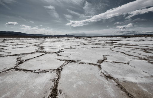 Dürregebiet der Cadiz-Dünen in der Mojave-Wüste, Südkalifornien, USA - BCDF00493