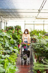 Female entrepreneur wearing face mask collecting flower while standing at garden center - LJF01864