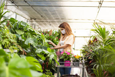 Businesswoman collecting plant on cart while standing at garden center - LJF01865