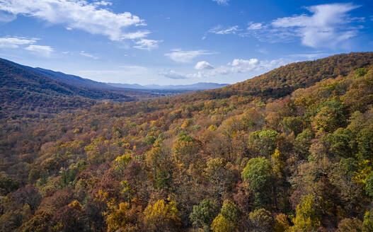 Luftaufnahme der George Washington und Jefferson National Forests im Herbst - BCDF00495