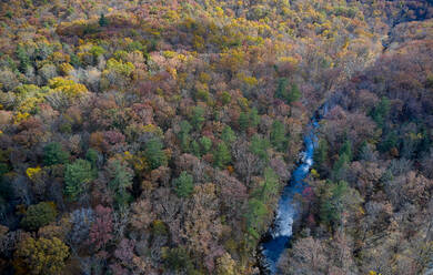 Luftaufnahme des durch die George Washington und Jefferson National Forests fließenden Flusses im Herbst - BCDF00503