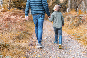 Low section of father holding hands of son while walking in Cannock Chase park during autumn - WPEF03510